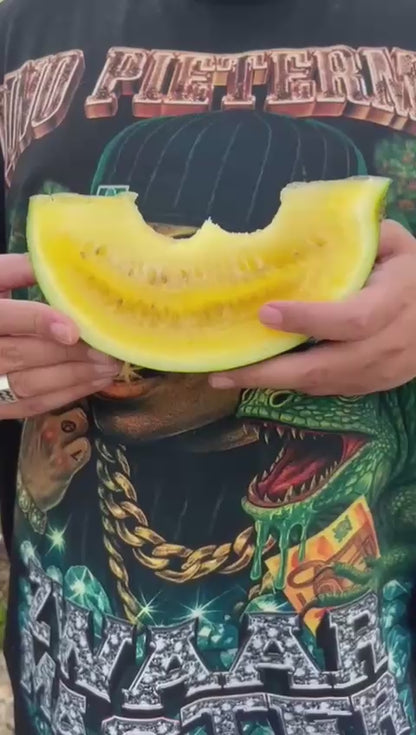 Gino Pietermaai - Zwaar Master T-Shirt